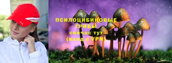 гашиш Абаза