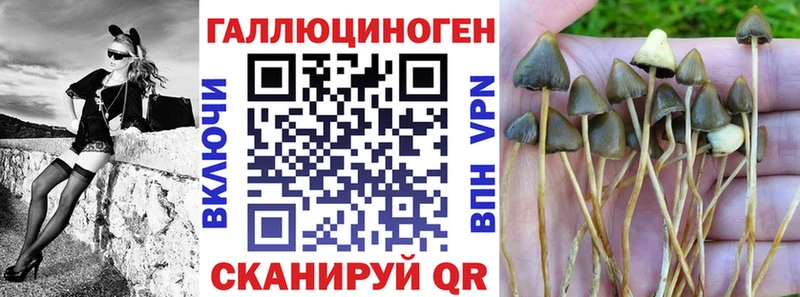 Псилоцибиновые грибы Psilocybe  Севастополь 